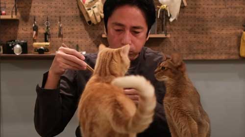 食べる徳井さんと猫たち
