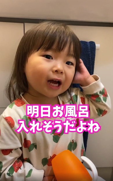 お風呂に入れなかった理由を深刻な顔で語る2歳児との会話