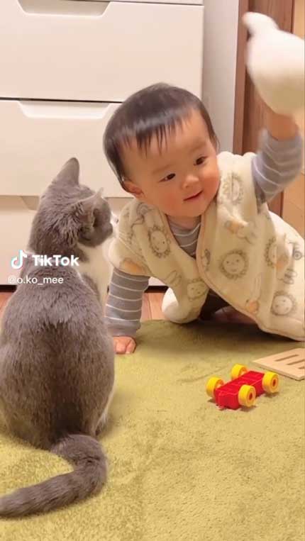 猫と赤ちゃん成長