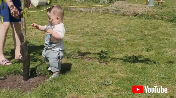 This Baby Loves Trees || ViralHog