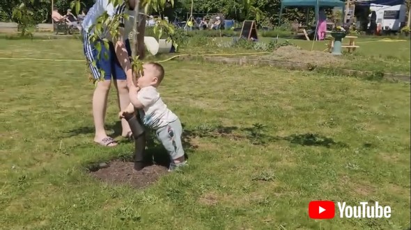 This Baby Loves Trees || ViralHog