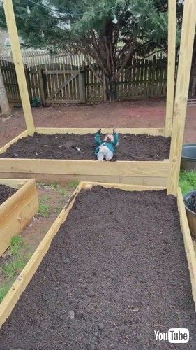 uToddler Plays in Garden Dirt || ViralHogv