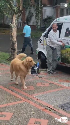 uGood Boy Always Remembers His Lunch Box || ViralHogv