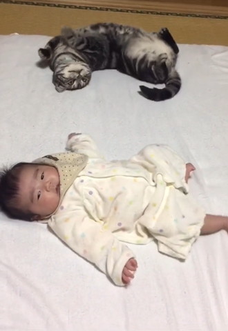 くねくねする猫と赤ちゃん