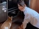 「あのすてきなおうちへ」　石田ゆり子、保護猫との別れを報告　かつて育てた“ちびた”と同じ里親に引き取られる