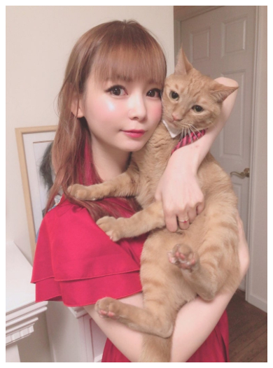 中川翔子と2023年3月に旅立った愛猫メポ