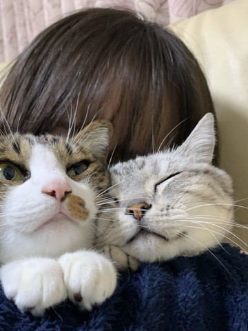 娘さんに抱っこされる猫2匹
