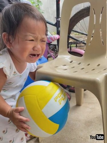 uToddler Struggles to Retrieve Ball || ViralHogv