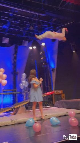 uCouple's High Flying Acrobatic Gender Reveal || ViralHogv
