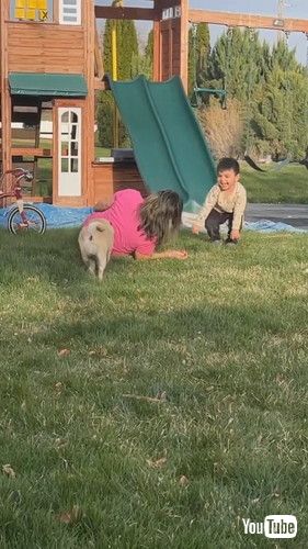 uGrandma Loses Balance and Falls Along With Grandson After Going Down Slide - 1417780v