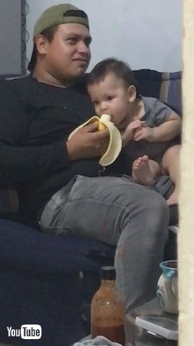 uBaby Attempts to Surreptitiously Eat His Dad's Banana || ViralHogv