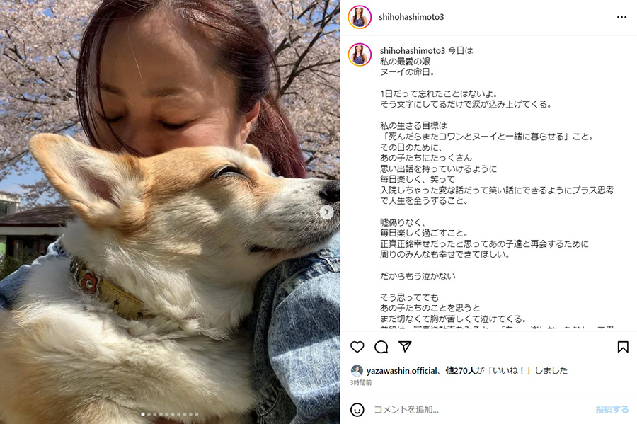 ガダルカナル・タカの妻、橋本志穂が愛犬の命日に“生きる目標”語る 入院も「笑い話にできるように」と前向きなメッセージ（1/2 ページ） - ねとらぼ