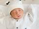 平愛梨、「1番PAPAに似てる」第4子のスヤスヤ寝顔を初公開　初の日本出産は「言葉が通じるだけで産み方変えられる」