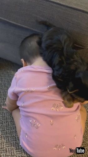 uKaia Helps Her Puppy Off The Couch || ViralHogv