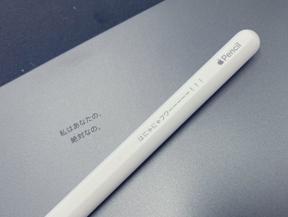 Apple Pencil（第2世代）刻印なし - iPadアクセサリー