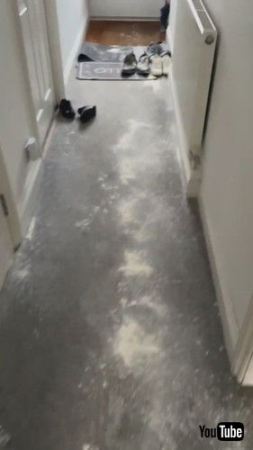 uLittle Kid Makes Huge Mess With Flour All Over House - 1420759v