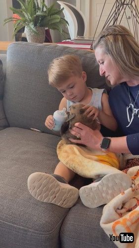 uLittle Boy Sitting With Grandmother Feeds Baby Beaver - 1415519v