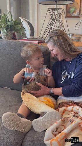 uLittle Boy Sitting With Grandmother Feeds Baby Beaver - 1415519v