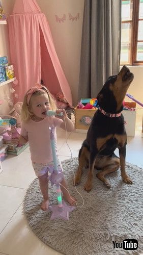 uRottweiler and Toddler Sing Their Favorite Songs Together || ViralHogv