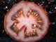 切ったトマトを土に埋めた18日後……　カビに侵食された後に起こるまさかの現象に「興味深い！」「とても美しい」