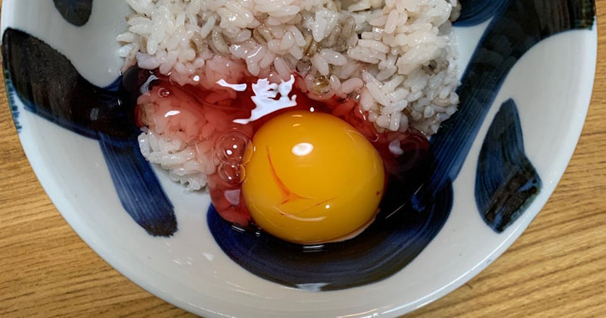 卵黒変 | 黒卵 寿命が延びる – PPKMIA