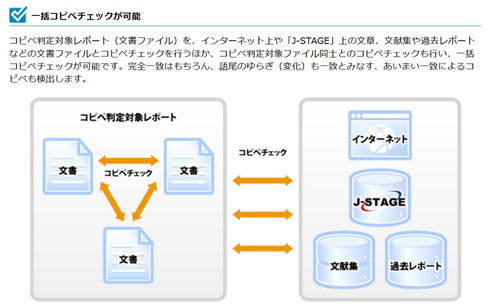 Rsyi[V6