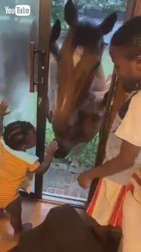 uHorses Attempt to Enter Inside House to Play With Toddler - 1429477v