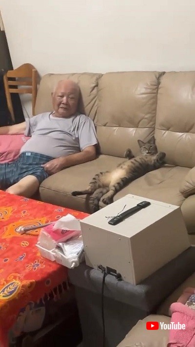 おじいちゃんと猫