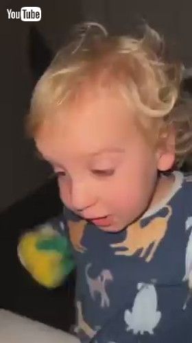 uDramatic Toddler Gets Annoyed When His Dad Tells Him That He's Just Tired - 1430796v