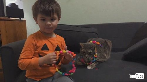 uKid Dresses Up Cat With Necklaces Made Out of Pop Beads - 1409427v