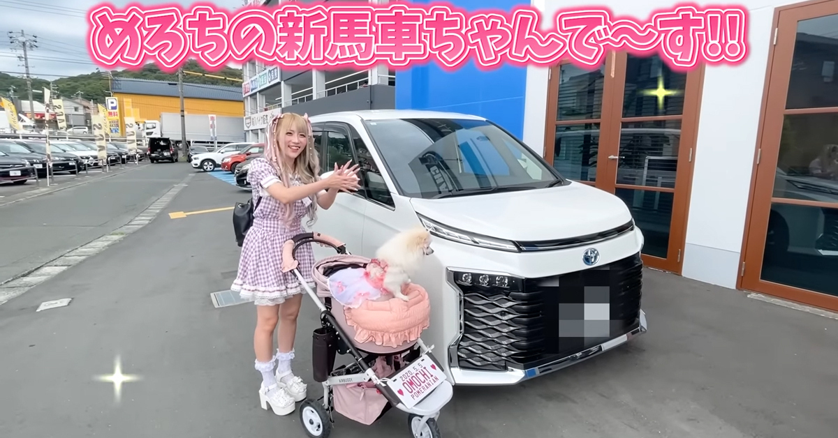 ちいめろ、衝動買いしたファミリー用国産車を初お目見え 子どもの乗り心地最優先したチョイスに「母親として最高」「愛だなぁ」（1/2 ページ） - ねとらぼ