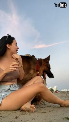 uJealous Dog Wants All Affection || ViralHogv