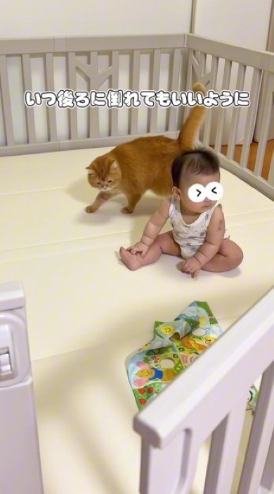 赤ちゃんの背後にいる猫