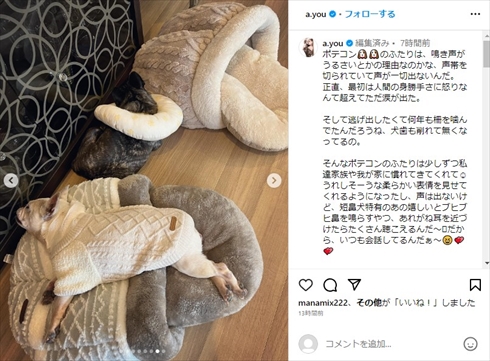 浜崎あゆみ、新しい家族の“残酷な過去”に心痛める 動物虐待に「人間の