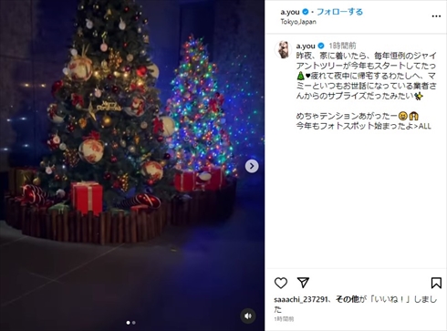 浜崎あゆみの自宅にある巨大クリスマスツリー