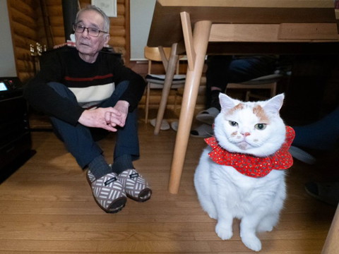座るお父さんと首飾りつけてる猫