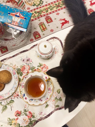 紅茶と猫