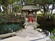 「泉へのお賽銭投げ入れやめて」　茨城県の泉神社が注意喚起　「投げ銭をして運気が上がることはない」と明言