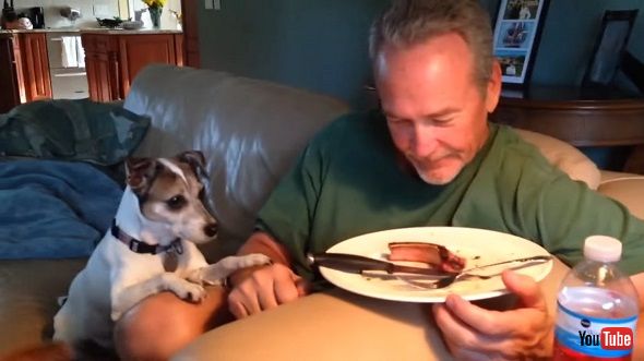 タイミングをばっちり合わせてお皿の料理および相手を交互に見る人間と犬