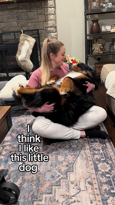 体重38キロ超えの飼い犬を人間の赤ちゃんのように抱っこしながらあやす光景