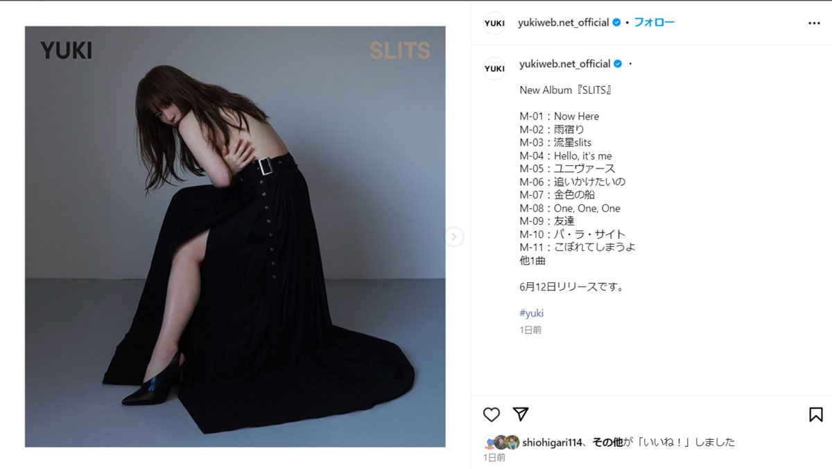 YUKI “SUPER SLITS” 2024 雨宿り ツアーグッズ キャップ YUKI『SLITS