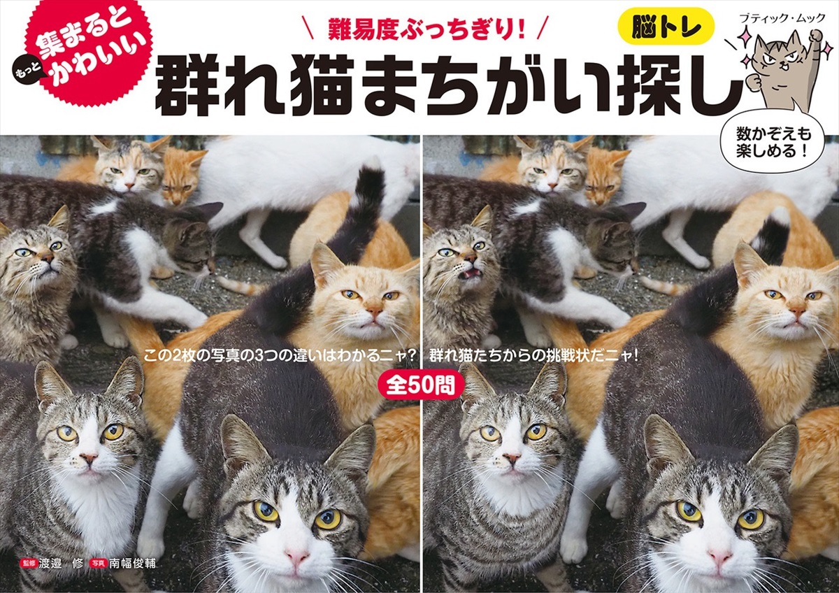 かわいいけど難易度ぶっちぎり！ 脳トレ本『群れ猫まちがい探し』がニヤニヤしちゃうやつ（要約） - ねとらぼ