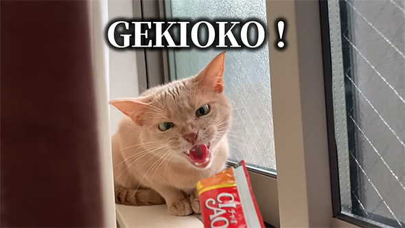 GEKIOKO