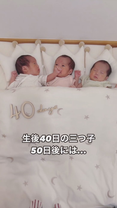 生後40日の三つ子赤ちゃん、50日後にはなんと…… 「想像の5倍成長してた」「いやんっかわいいっ」思わず二度見のあいらしさが85万再生（要約） -  ねとらぼ