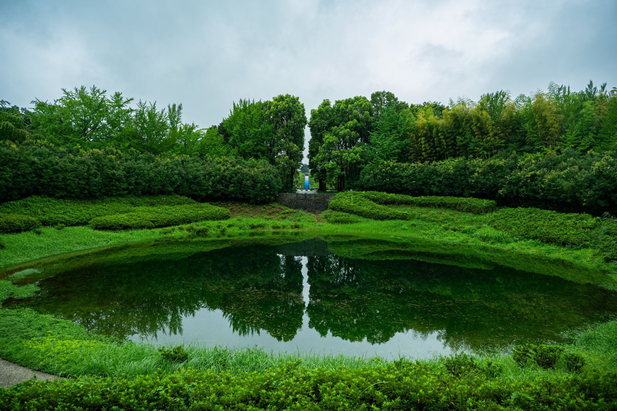 雨の影響で「幻の泉」が出現 昭和記念公園の珍しい風景に「知らなかった」「見に行ってみたい」（1/3 ページ） - ねとらぼ