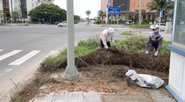 Clean up Mowing