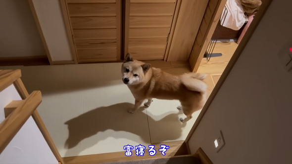 Ki猩グČ