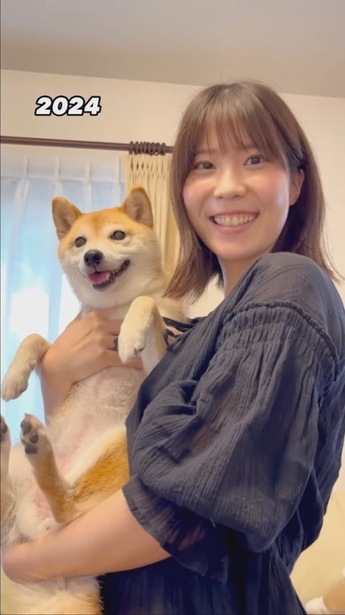 娘に抱っこされている“小さな柴犬”が6年後…… 当時を再現した姿に「たまらん」「飼い主さんと同じ顔してる」（1/3 ページ） - ねとらぼ