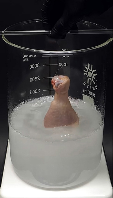 鶏肉をピラニア溶液へ