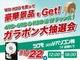 秋葉原ツクモでWD HDD購入者向けの「ガラポン大抽選会」を開催——11月22日